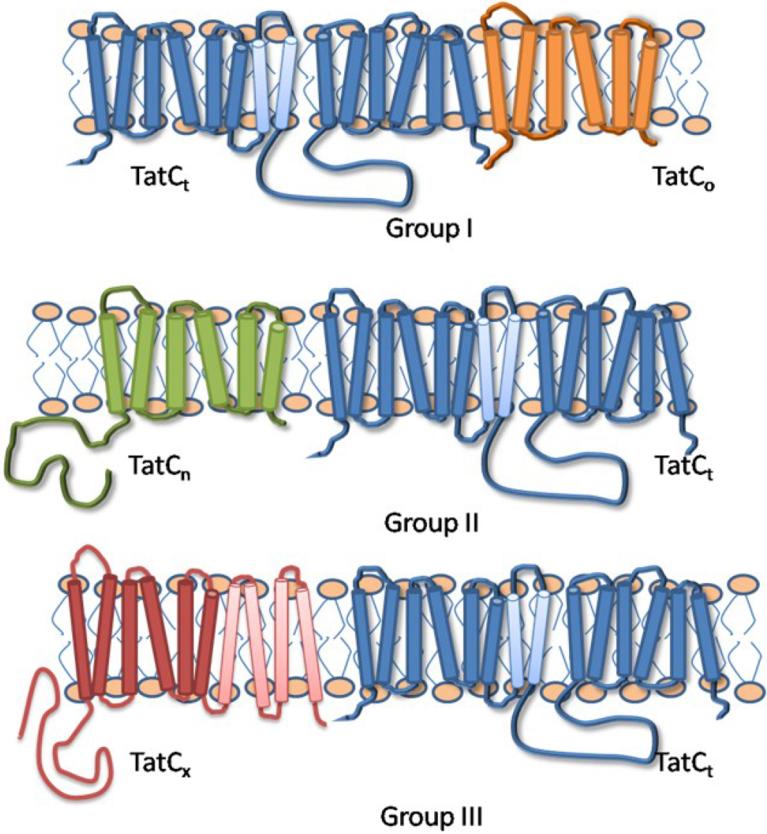 https://cdn.ncbi.nlm.nih.gov/pmc/blobs/4e95/6525301/97921fb6ab60/gr1.jpg