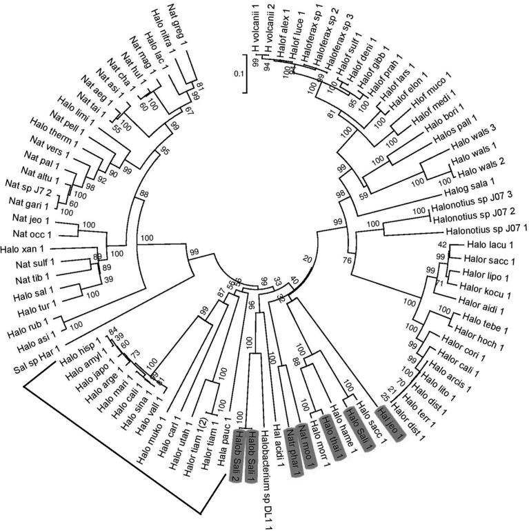 https://cdn.ncbi.nlm.nih.gov/pmc/blobs/4e95/6525301/dbea8804c098/gr3.jpg