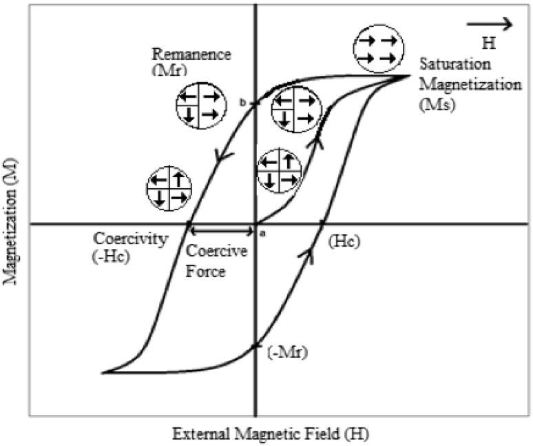 https://cdn.ncbi.nlm.nih.gov/pmc/blobs/4e96/5304434/6625157f3c3e/40204_2016_54_Fig1_HTML.jpg