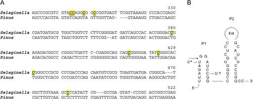 https://cdn.ncbi.nlm.nih.gov/pmc/blobs/4e96/5654404/dfd1766b732b/gbeevr027f06_3c.jpg