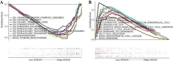 https://cdn.ncbi.nlm.nih.gov/pmc/blobs/4e96/8684324/437420d50bf2/peerj-09-12605-g006.jpg