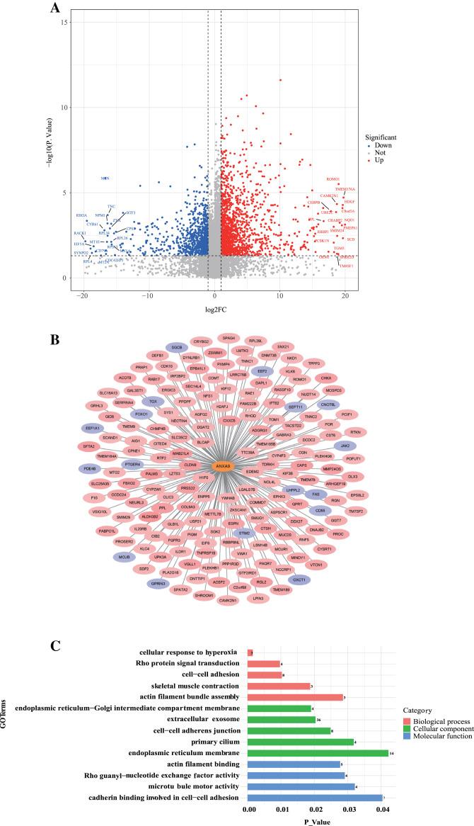 https://cdn.ncbi.nlm.nih.gov/pmc/blobs/4e96/8684324/f4e414e29135/peerj-09-12605-g009.jpg