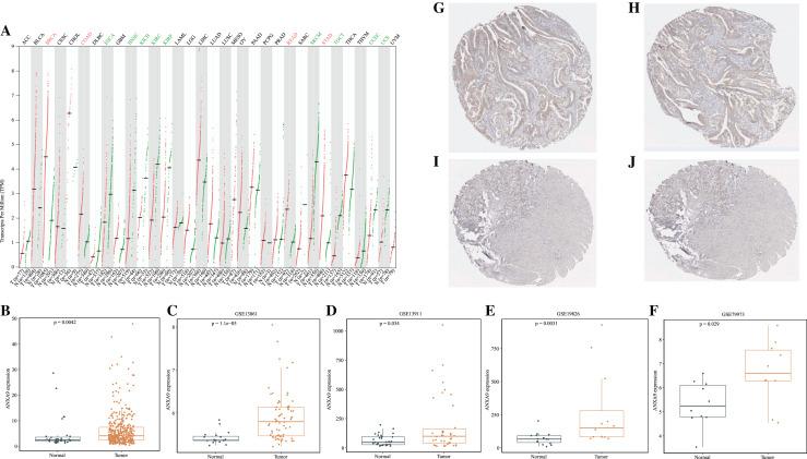 https://cdn.ncbi.nlm.nih.gov/pmc/blobs/4e96/8684324/fc61c404008a/peerj-09-12605-g001.jpg