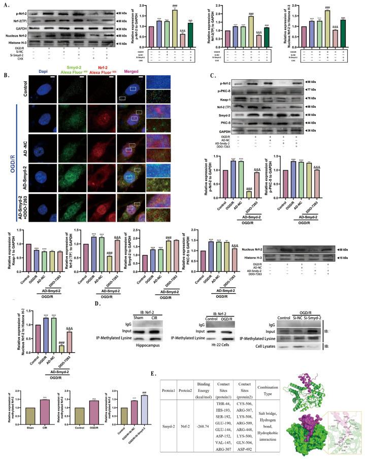 https://cdn.ncbi.nlm.nih.gov/pmc/blobs/4e99/11639856/c761ad146f27/cells-13-01969-g008.jpg