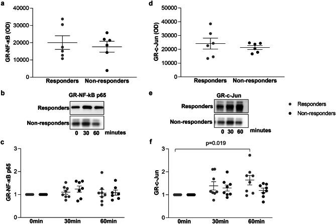 https://cdn.ncbi.nlm.nih.gov/pmc/blobs/4e9c/11137987/091809b66535/12931_2024_2769_Fig6_HTML.jpg