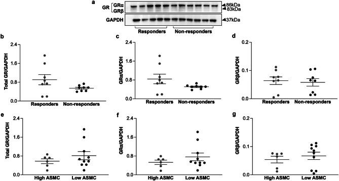 https://cdn.ncbi.nlm.nih.gov/pmc/blobs/4e9c/11137987/3e4c80a951bf/12931_2024_2769_Fig2_HTML.jpg