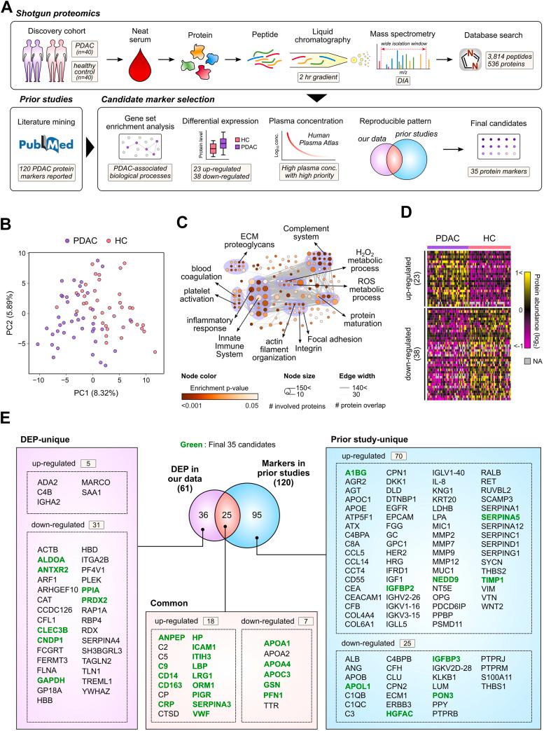 https://cdn.ncbi.nlm.nih.gov/pmc/blobs/4e9f/11406441/ae0a8309c3e8/gr1.jpg