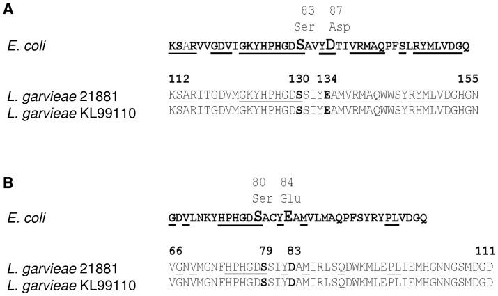 https://cdn.ncbi.nlm.nih.gov/pmc/blobs/4e9f/3387028/a2e14d8b2270/pone.0040119.g010.jpg