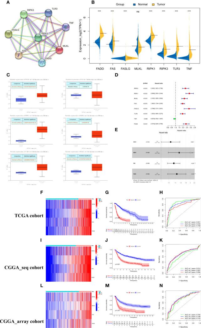 https://cdn.ncbi.nlm.nih.gov/pmc/blobs/4e9f/9201102/a15e90f0e394/fonc-12-855434-g001.jpg