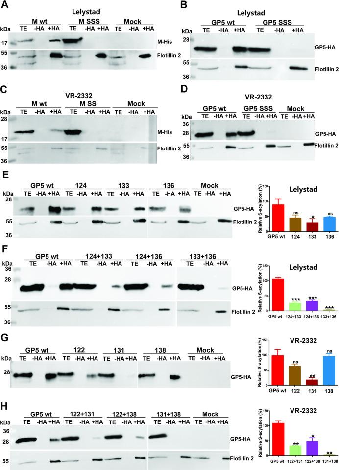 https://cdn.ncbi.nlm.nih.gov/pmc/blobs/4ea0/8099100/b55bec8dba9a/ppat.1009554.g003.jpg