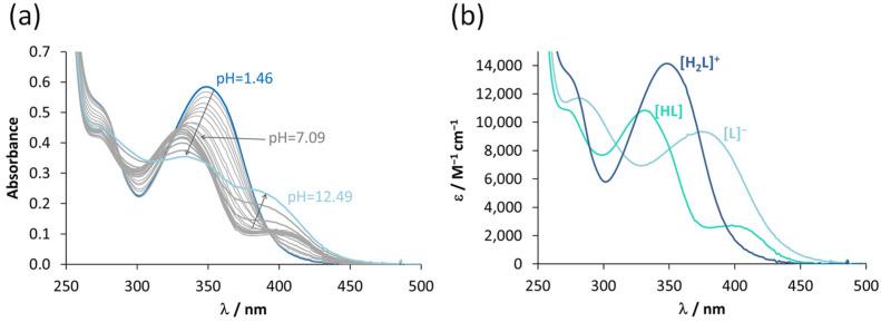 https://cdn.ncbi.nlm.nih.gov/pmc/blobs/4ea2/9497102/0a821ebd4cca/cancers-14-04455-g001.jpg