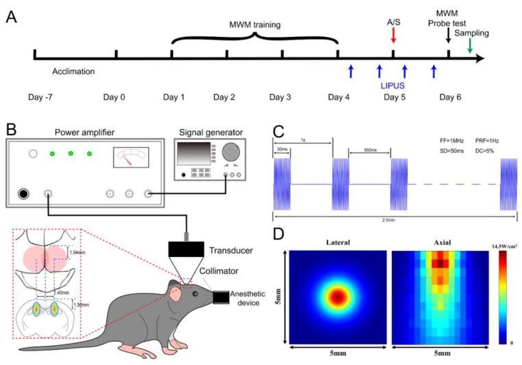 https://cdn.ncbi.nlm.nih.gov/pmc/blobs/4ea5/10137221/14eaa7f83b06/brainsci-13-00657-g001.jpg