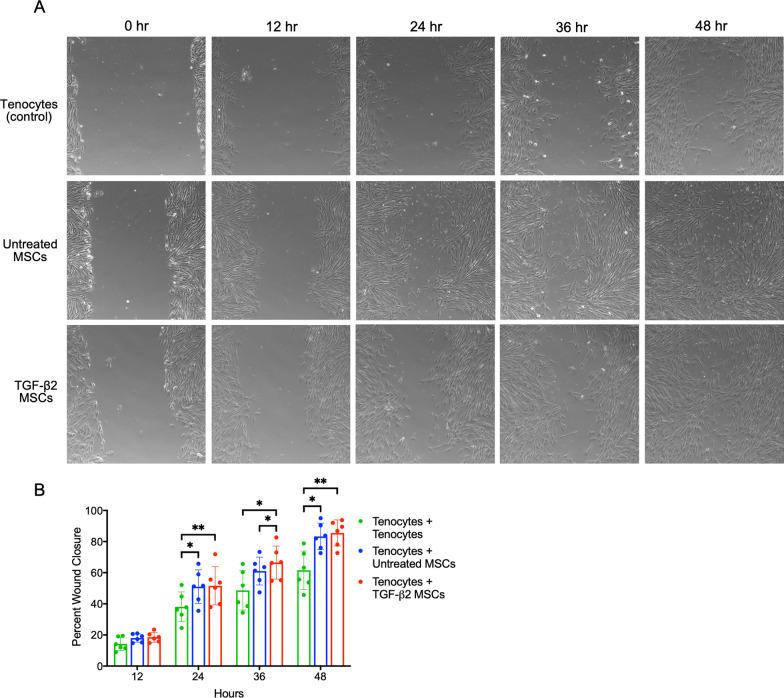 https://cdn.ncbi.nlm.nih.gov/pmc/blobs/4ea5/9482193/54e2764e3fec/13287_2022_3172_Fig5_HTML.jpg