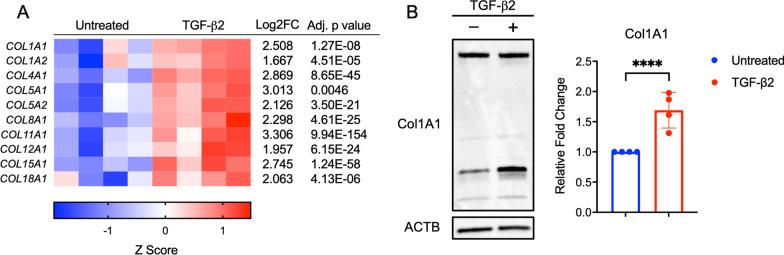 https://cdn.ncbi.nlm.nih.gov/pmc/blobs/4ea5/9482193/938db20396e7/13287_2022_3172_Fig2_HTML.jpg