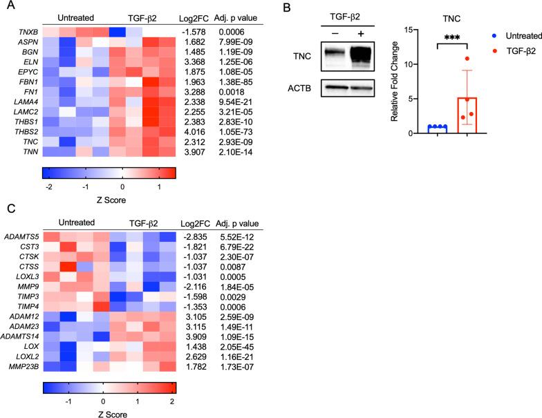https://cdn.ncbi.nlm.nih.gov/pmc/blobs/4ea5/9482193/a415179e64f2/13287_2022_3172_Fig3_HTML.jpg
