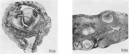 https://cdn.ncbi.nlm.nih.gov/pmc/blobs/4ea6/1351695/5ecc8f6b8deb/jphysiol01106-0208-c.jpg