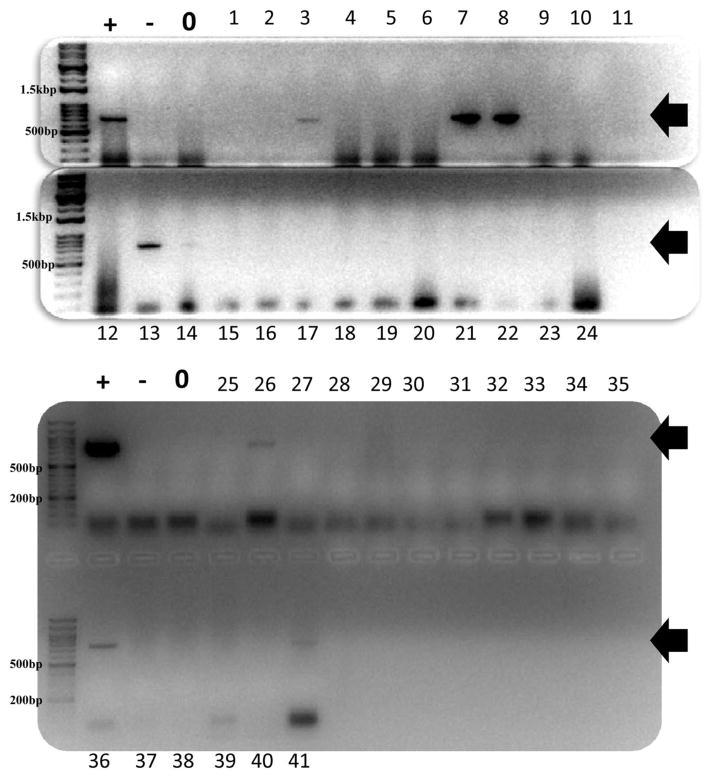 https://cdn.ncbi.nlm.nih.gov/pmc/blobs/4ea6/4307837/af96a582a49e/nihms646458f1.jpg