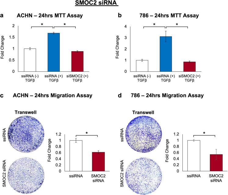https://cdn.ncbi.nlm.nih.gov/pmc/blobs/4ea6/9307531/18e2bffd8326/41419_2022_5059_Fig10_HTML.jpg