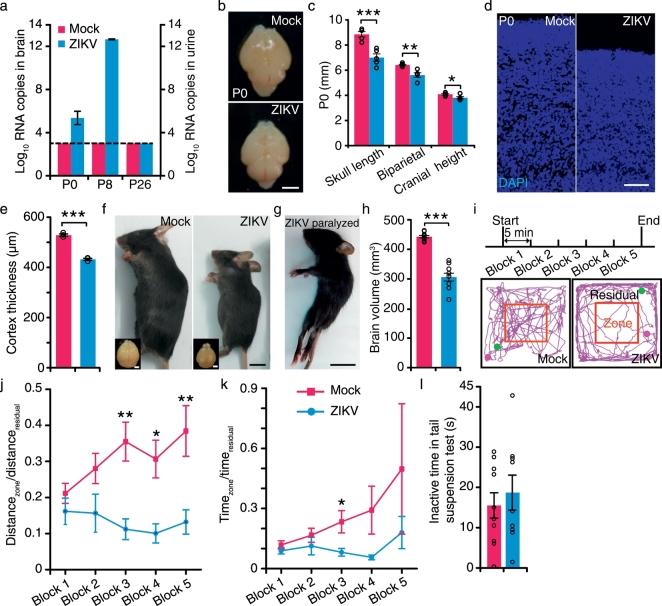https://cdn.ncbi.nlm.nih.gov/pmc/blobs/4ea7/5478201/9382220a773a/gr1.jpg