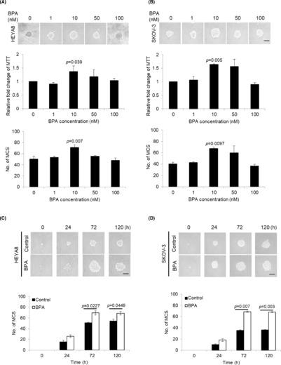 https://cdn.ncbi.nlm.nih.gov/pmc/blobs/4ea9/10494296/04f239986fc4/JCMM-27-2792-g001.jpg