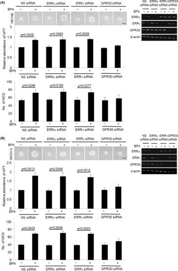 https://cdn.ncbi.nlm.nih.gov/pmc/blobs/4ea9/10494296/45317e601ef7/JCMM-27-2792-g006.jpg
