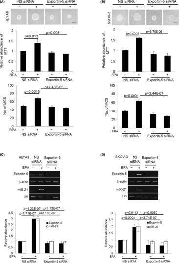https://cdn.ncbi.nlm.nih.gov/pmc/blobs/4ea9/10494296/5c564f2a8db9/JCMM-27-2792-g002.jpg