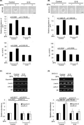 https://cdn.ncbi.nlm.nih.gov/pmc/blobs/4ea9/10494296/c58efa1009b7/JCMM-27-2792-g004.jpg