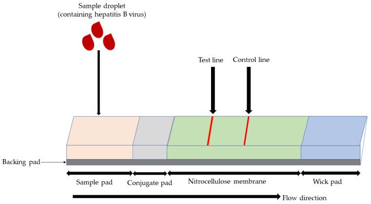 https://cdn.ncbi.nlm.nih.gov/pmc/blobs/4eaa/10301844/59858adf4251/micromachines-14-01239-g002.jpg
