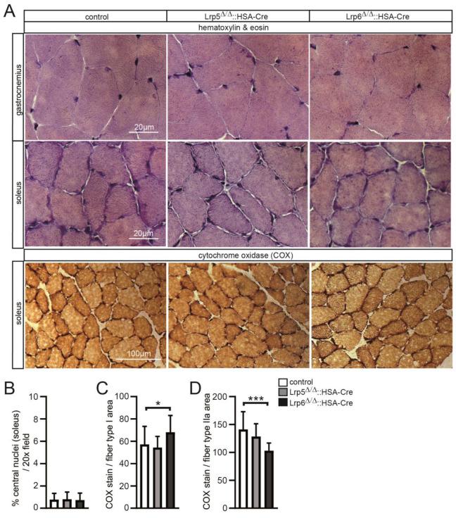 https://cdn.ncbi.nlm.nih.gov/pmc/blobs/4ead/9777411/8c739be78788/cells-11-03968-g002.jpg