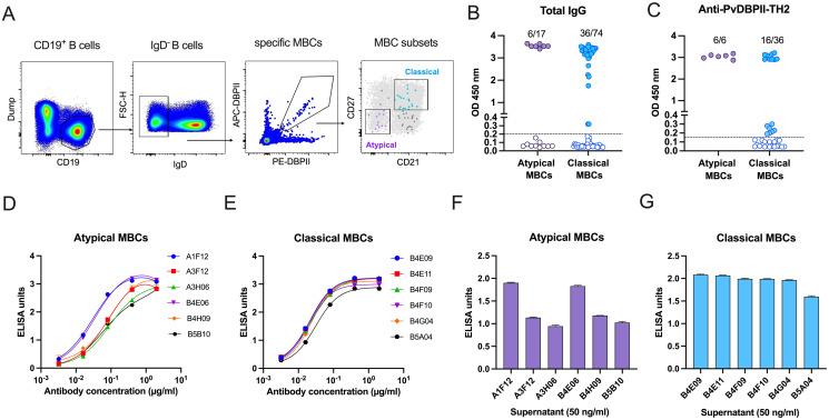 https://cdn.ncbi.nlm.nih.gov/pmc/blobs/4eae/11756785/82e8320a0365/ppat.1012866.g002.jpg