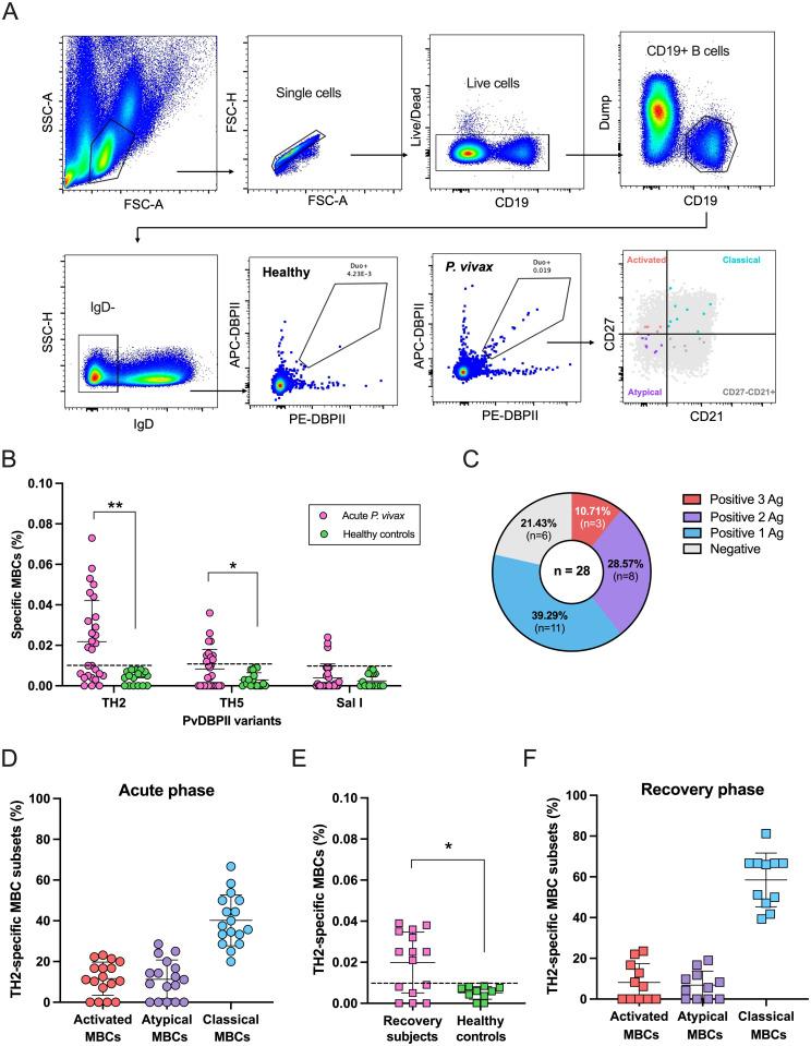 https://cdn.ncbi.nlm.nih.gov/pmc/blobs/4eae/11756785/ea1cb2873c99/ppat.1012866.g001.jpg