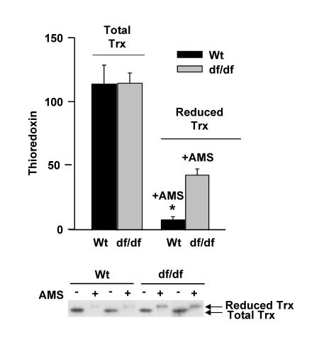 https://cdn.ncbi.nlm.nih.gov/pmc/blobs/4eae/2815737/38350870985b/aging-01-784-g004.jpg