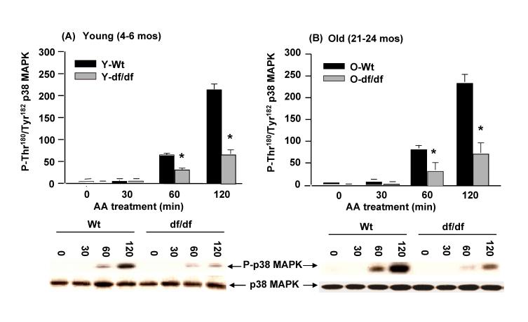 https://cdn.ncbi.nlm.nih.gov/pmc/blobs/4eae/2815737/481817ef9911/aging-01-784-g010.jpg