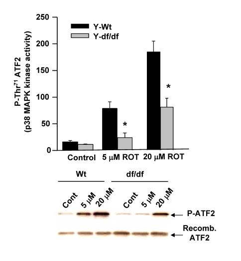 https://cdn.ncbi.nlm.nih.gov/pmc/blobs/4eae/2815737/55334d20563f/aging-01-784-g008.jpg