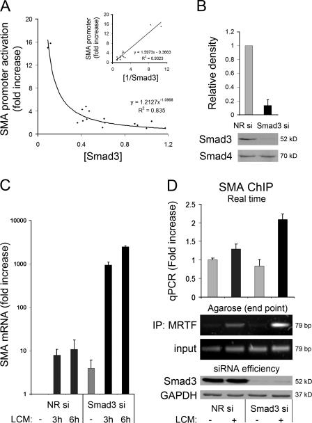 https://cdn.ncbi.nlm.nih.gov/pmc/blobs/4eb3/2819691/50afa3b8de44/JCB_200906155_GS_Fig5.jpg