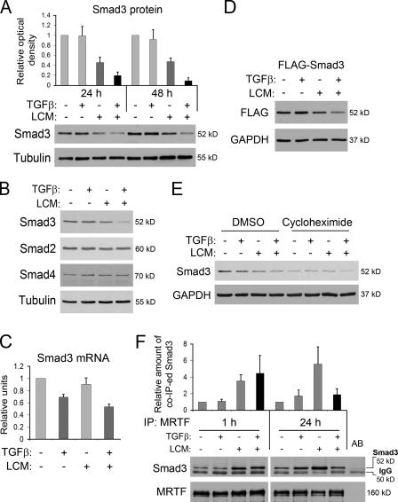 https://cdn.ncbi.nlm.nih.gov/pmc/blobs/4eb3/2819691/cd61e34545e1/JCB_200906155_GS_Fig4.jpg