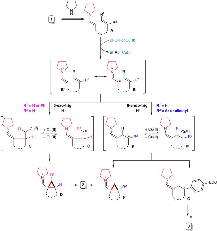https://cdn.ncbi.nlm.nih.gov/pmc/blobs/4eb3/5768789/53c7862e2466/41467_2017_2231_Fig5_HTML.jpg