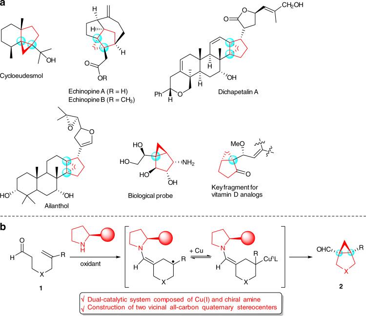 https://cdn.ncbi.nlm.nih.gov/pmc/blobs/4eb3/5768789/5e52ff8fc3bf/41467_2017_2231_Fig1_HTML.jpg