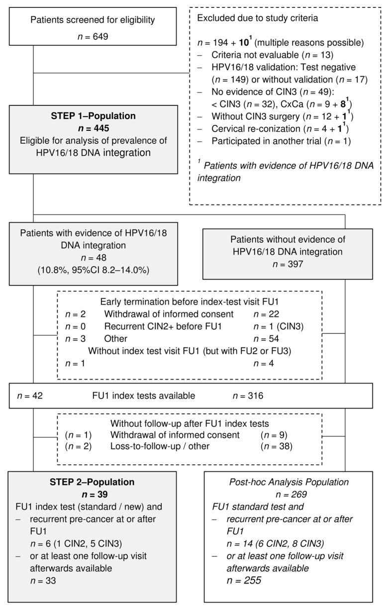 https://cdn.ncbi.nlm.nih.gov/pmc/blobs/4eb4/8269020/1d8f8104b781/cancers-13-03309-g002.jpg