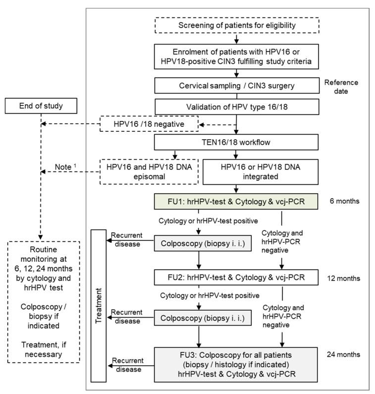 https://cdn.ncbi.nlm.nih.gov/pmc/blobs/4eb4/8269020/825c10e6f77b/cancers-13-03309-g001.jpg
