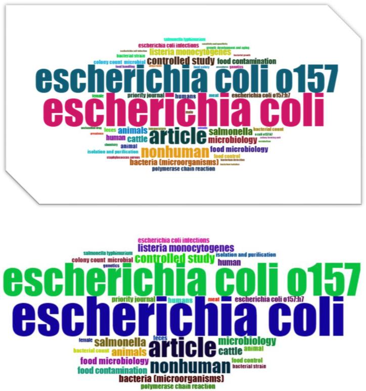 https://cdn.ncbi.nlm.nih.gov/pmc/blobs/4eb8/10812834/2a956b320ce8/antibiotics-13-00060-g011.jpg