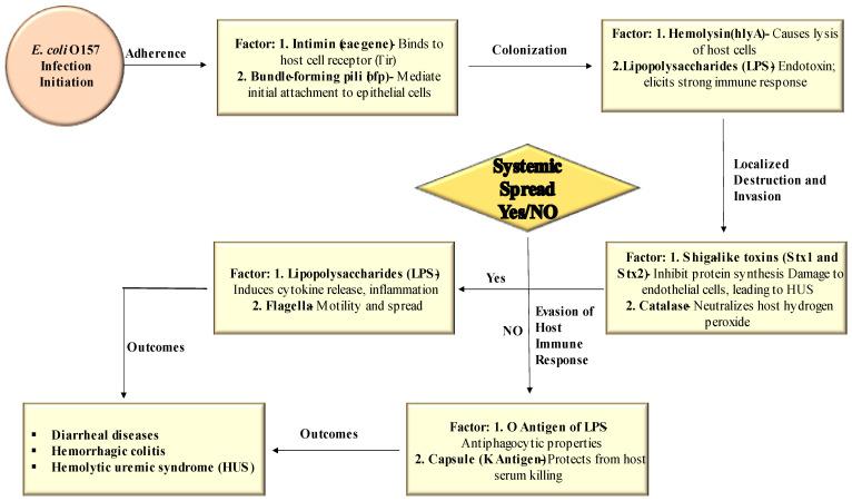 https://cdn.ncbi.nlm.nih.gov/pmc/blobs/4eb8/10812834/8d6896bf3296/antibiotics-13-00060-g002.jpg