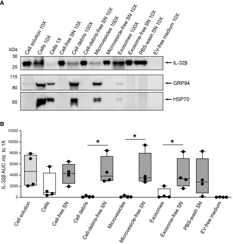 https://cdn.ncbi.nlm.nih.gov/pmc/blobs/4eb8/11357969/0422b948c4c0/fimmu-15-1437224-g008.jpg