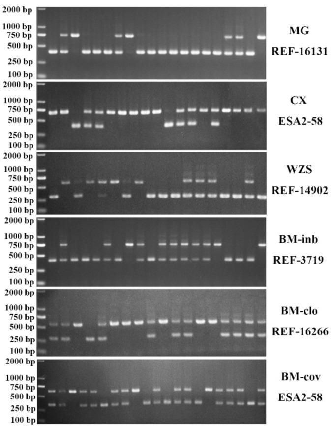 https://cdn.ncbi.nlm.nih.gov/pmc/blobs/4eb9/8071531/3b3ab5004519/animals-11-01136-g002.jpg