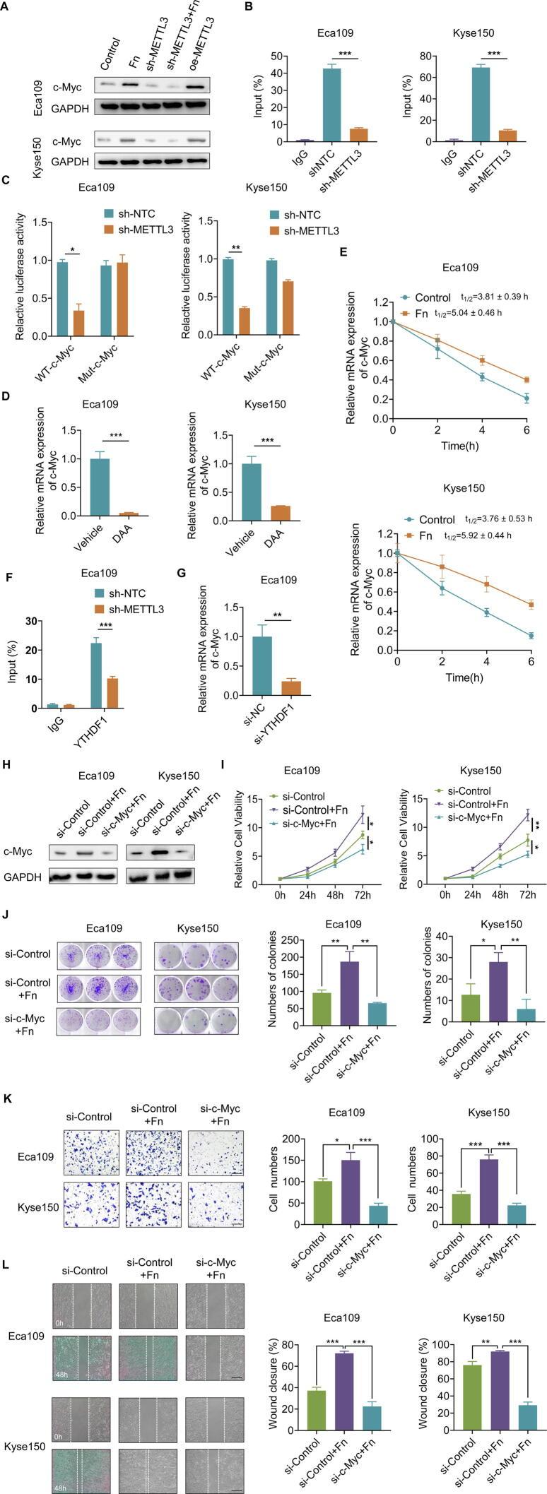 https://cdn.ncbi.nlm.nih.gov/pmc/blobs/4eba/11258656/169fc277422b/gr5.jpg