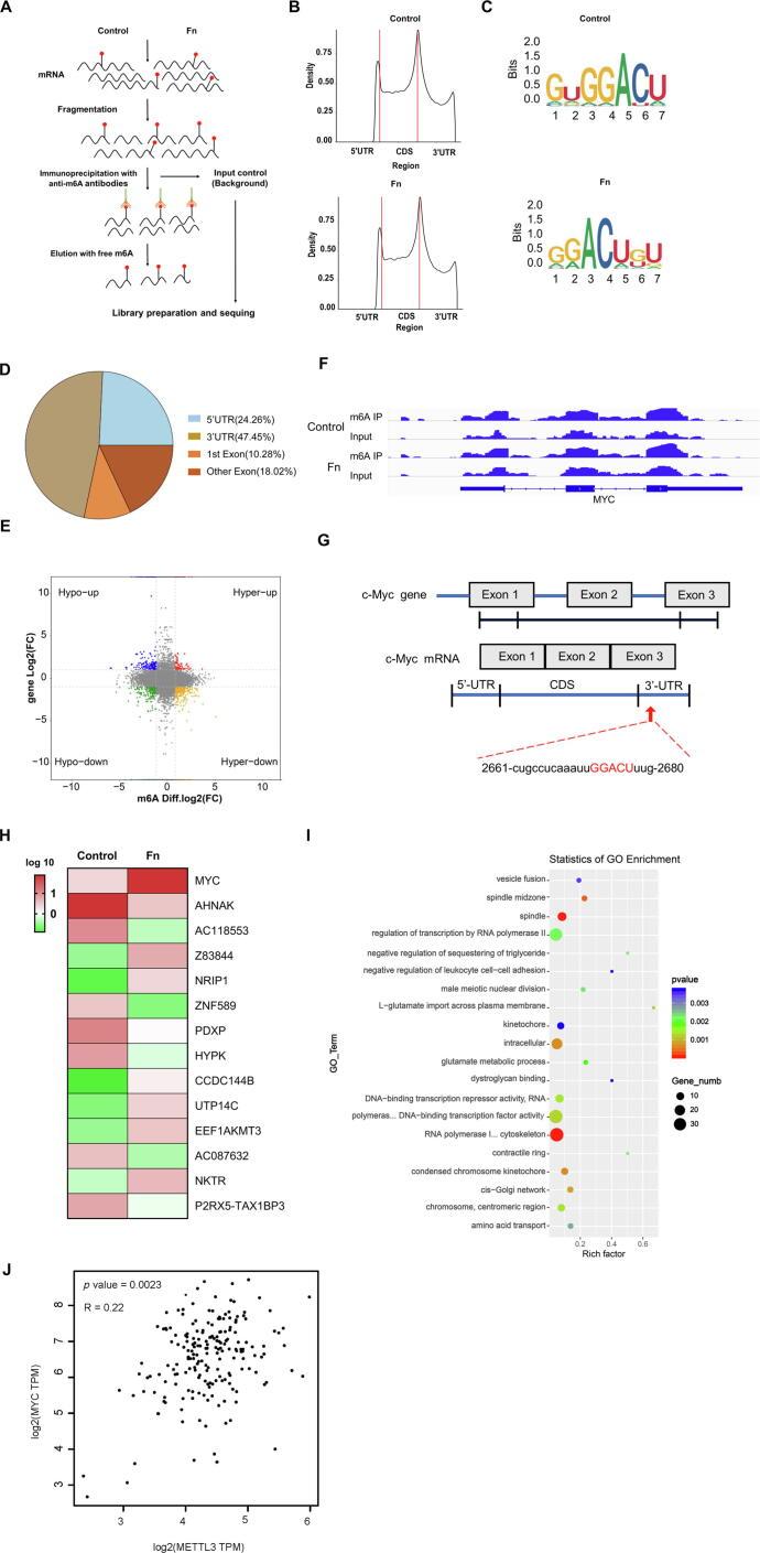 https://cdn.ncbi.nlm.nih.gov/pmc/blobs/4eba/11258656/ca8f1d72987a/gr4.jpg