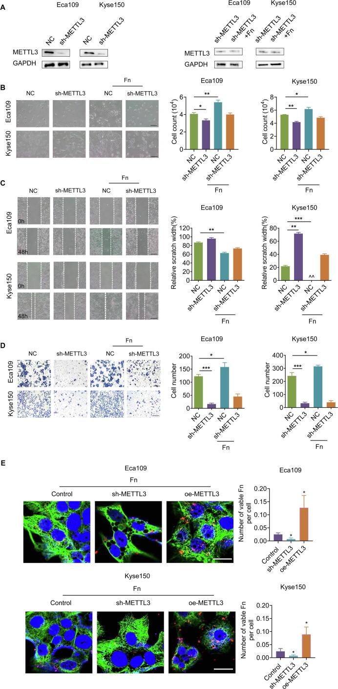 https://cdn.ncbi.nlm.nih.gov/pmc/blobs/4eba/11258656/eb93cd3a0e9b/gr3.jpg