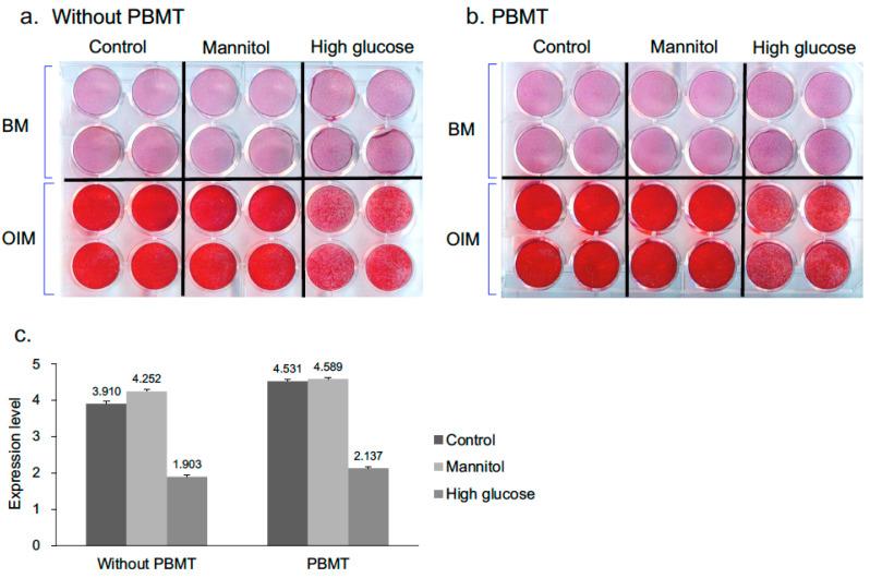 https://cdn.ncbi.nlm.nih.gov/pmc/blobs/4eba/8541159/8352a2b9fba3/ijms-22-11026-g001.jpg