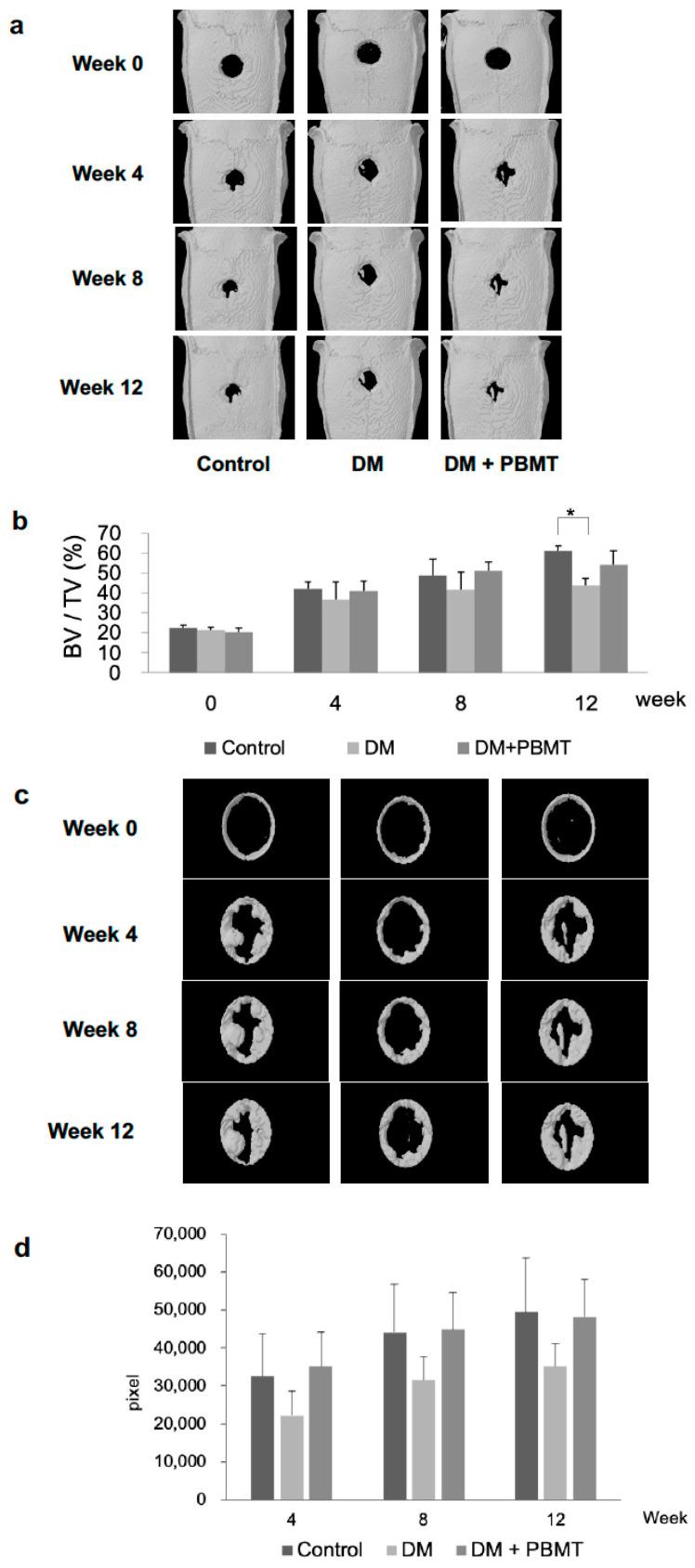 https://cdn.ncbi.nlm.nih.gov/pmc/blobs/4eba/8541159/cb9268d8eb2a/ijms-22-11026-g002.jpg