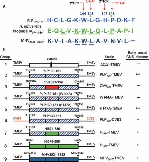 https://cdn.ncbi.nlm.nih.gov/pmc/blobs/4ebb/7165709/29012533a3fc/IMR-245-227-g002.jpg